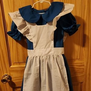Alice in Wonderland costume 👗